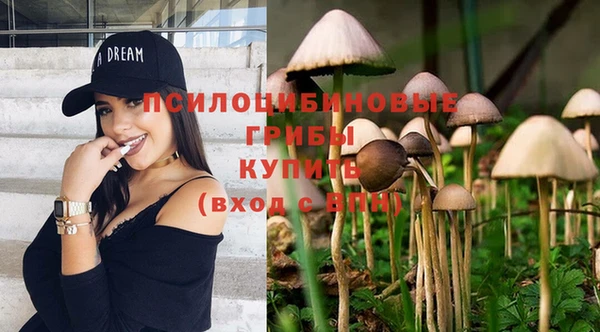 ALPHA PVP Алексин