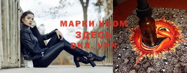 гашик Алексеевка